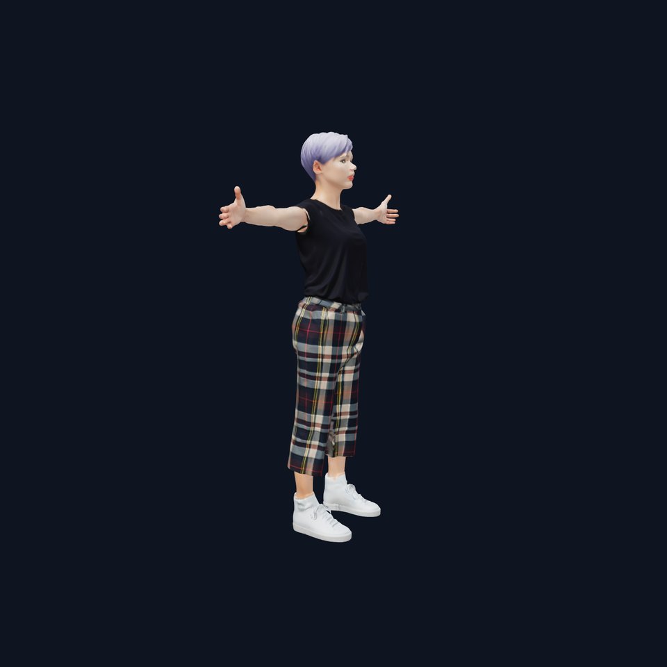 Casual Plaid Fashion model pack